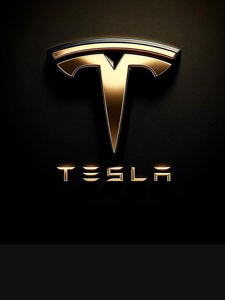 Tesla logo Long Sleeve T-Shirt