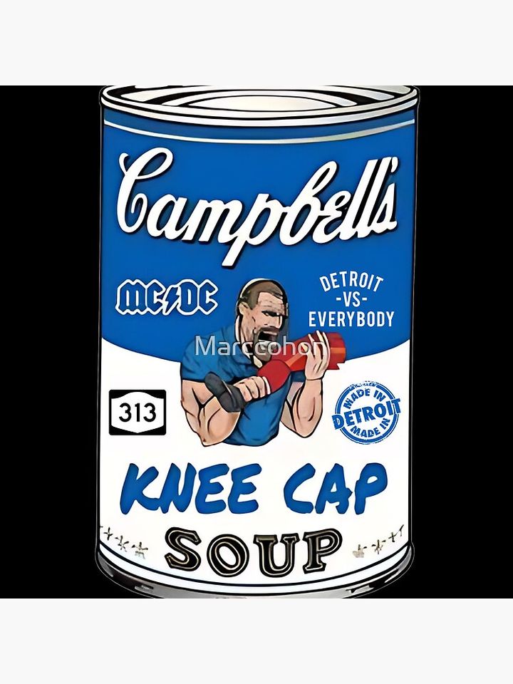 Detroit Lions Kneecap Soup Pillow