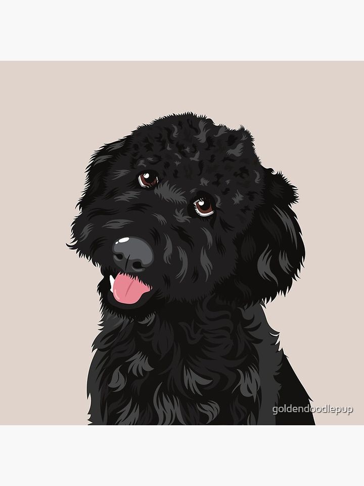 Black Goldendoodle Pillow