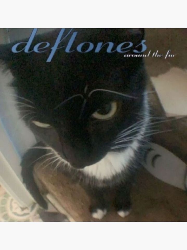 Metal Band Poster – Alternative Rock Music Wall Decor