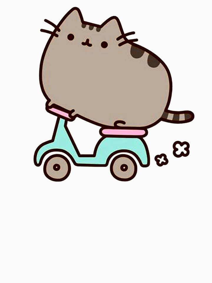 Cat on Scooter Classic T-Shirt