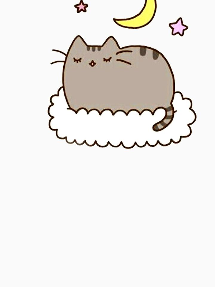 Kitten Calico Classic T-Shirt