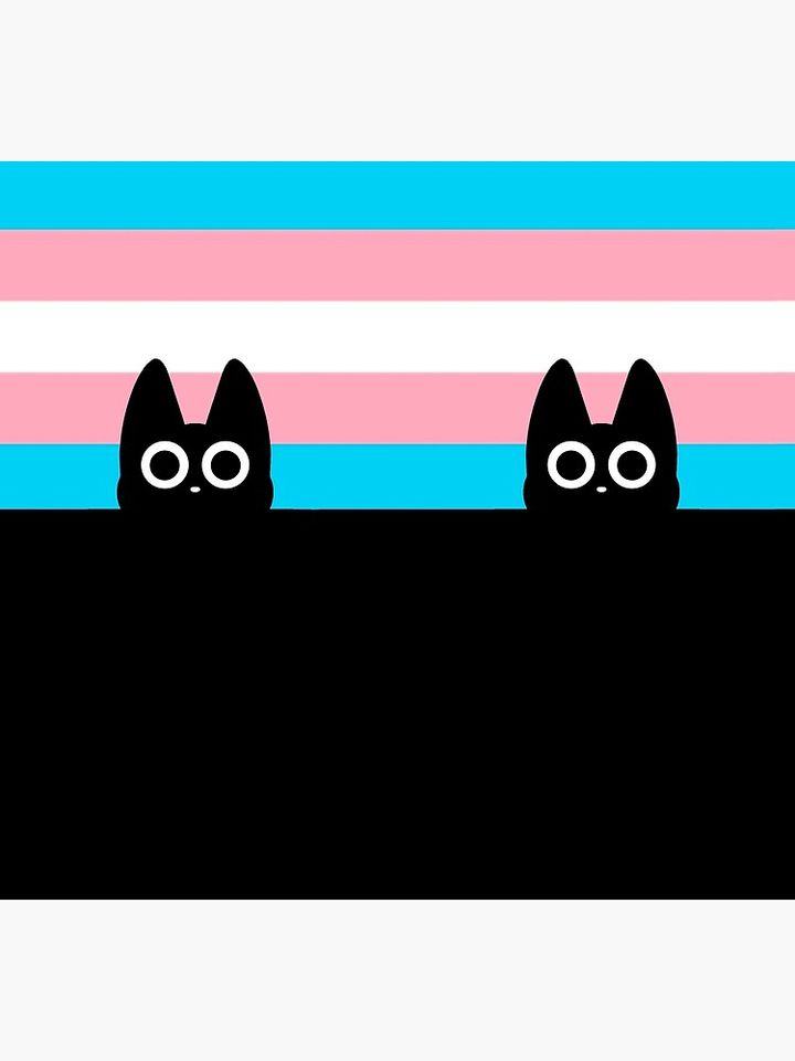 black cat and trans flag Socks