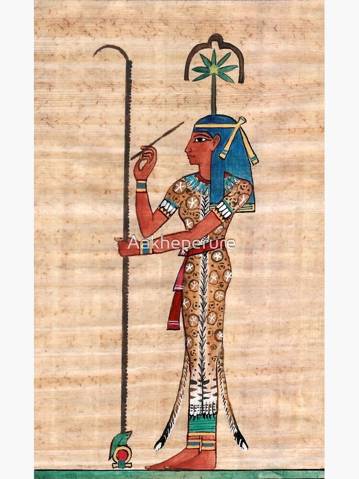 Seshat Canvas, Seshat Canvas