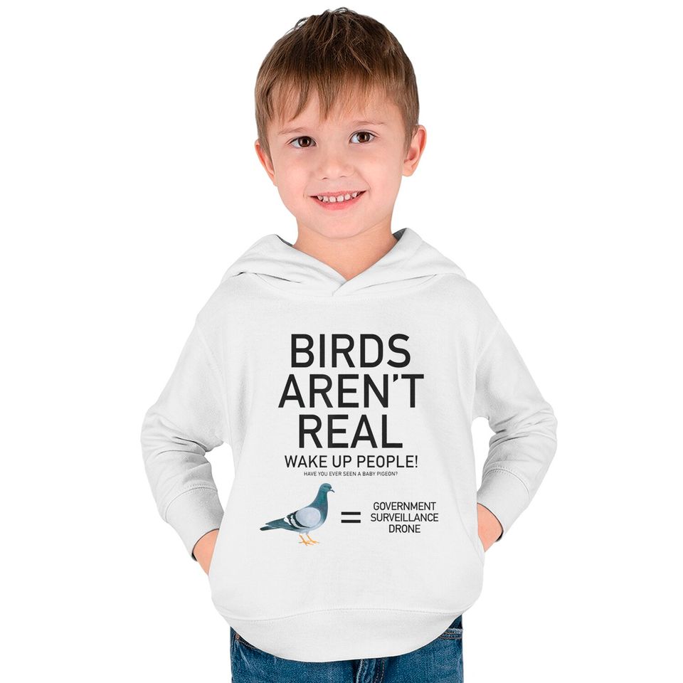 Birds Are Not Real Bird Spies Conspiracy Theory Birds Kids Pullover Hoodies