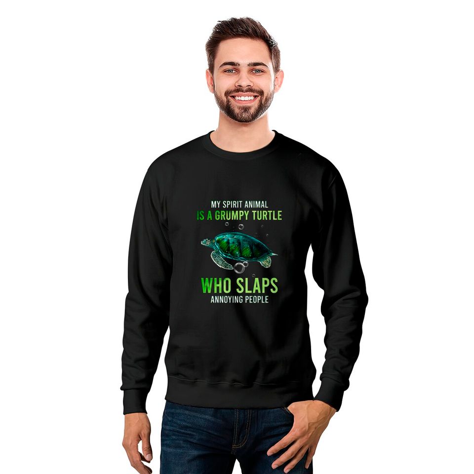 My Spirit Animal Is A Grumpy Turtle Who Slaps Anno Sweatshirts