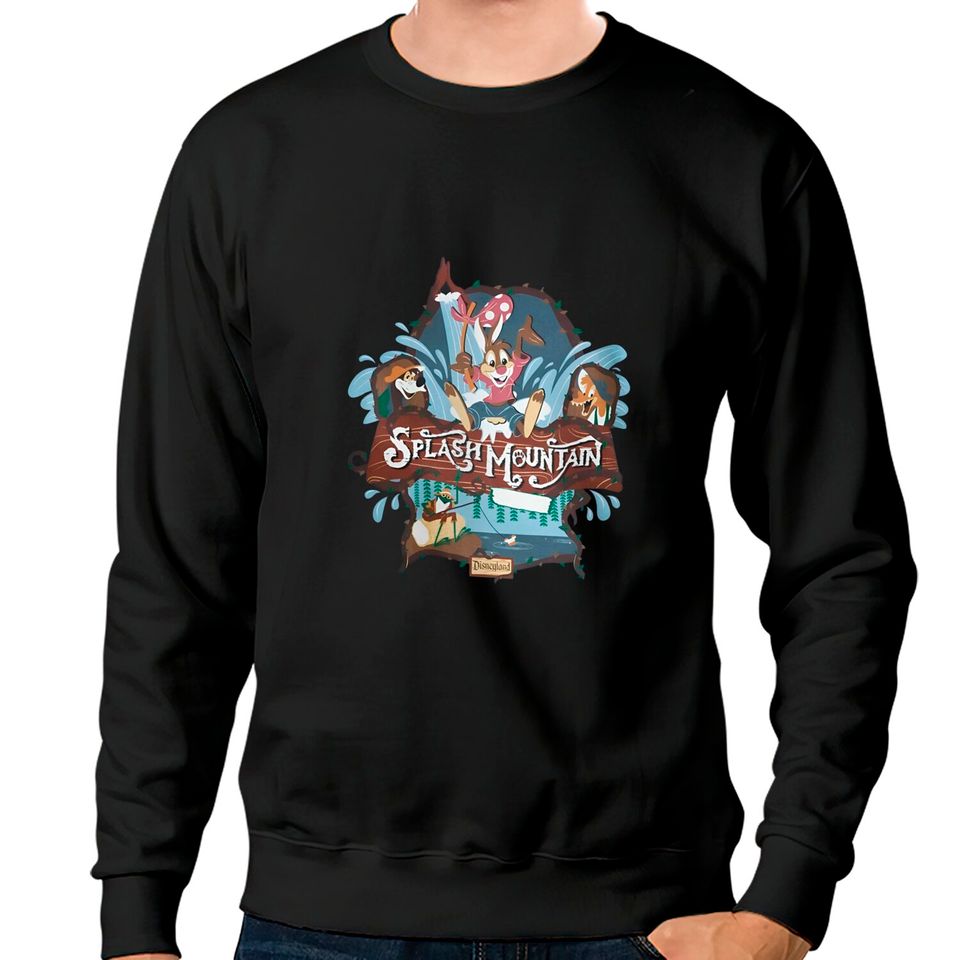 Splash Mountain Vintage Sweatshirts, disney ride, Brer Rabbit