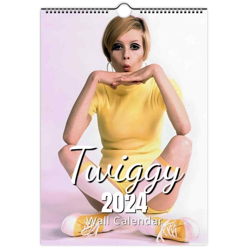 Beautiful Twiggy Early Years 2024 Calendar