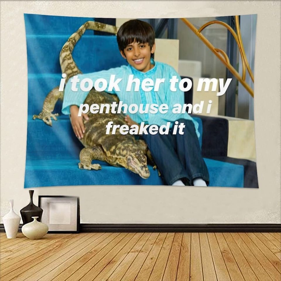 I Took Her To My Penthouse Ravi Freaked It, Funny Teen Humor Decor Tapestries