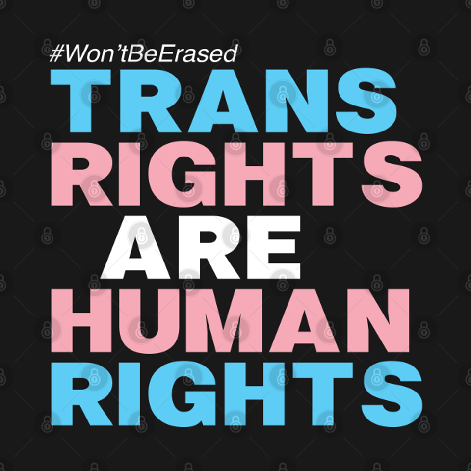 TRANS RIGHTS ARE HUMAN RIGHTS - Trans Rights - T-Shirt