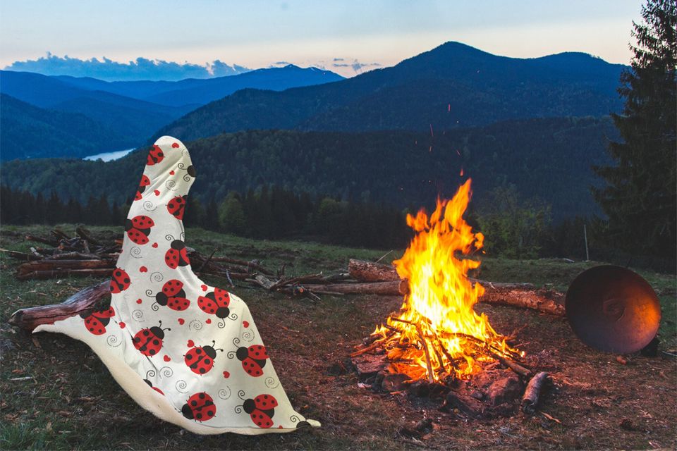 Ladybug Love Hooded Blanket