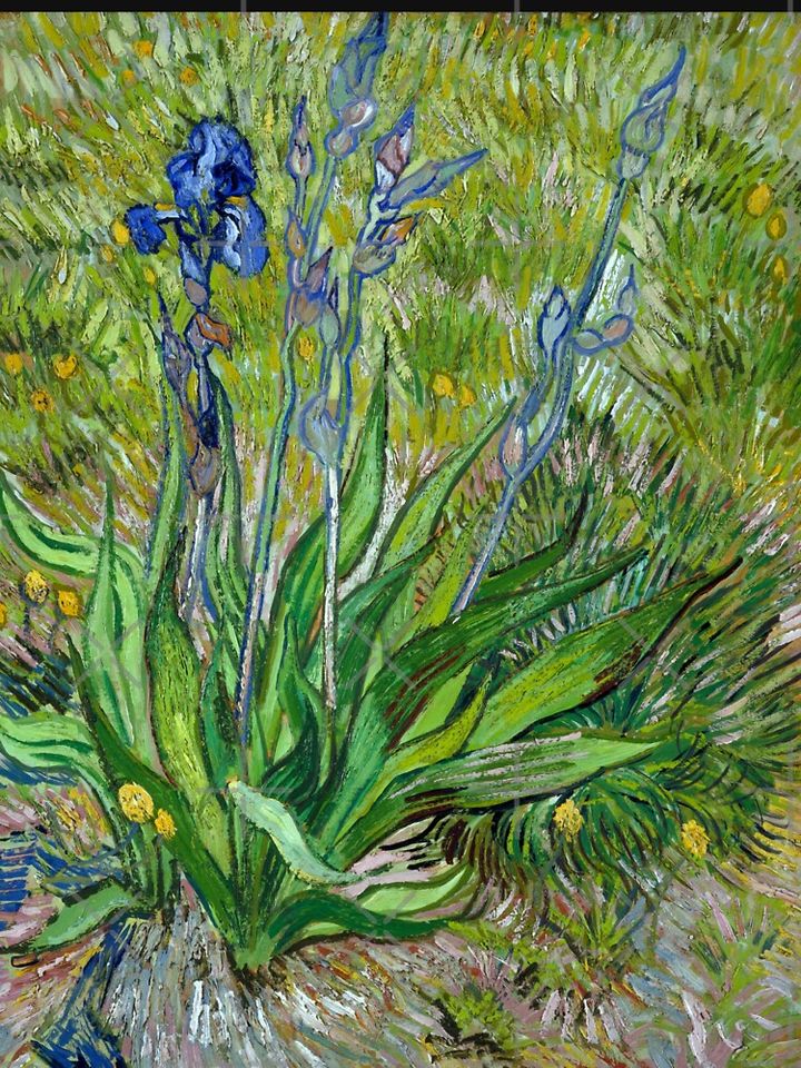 Vincent Van Gogh "The Iris" Racerback Tank Top