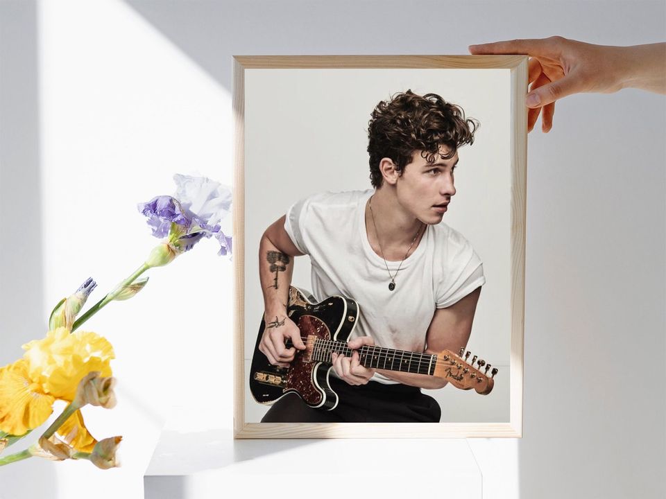 Shawn Mendes Wonder 2022 Tour Posters, Home Decor