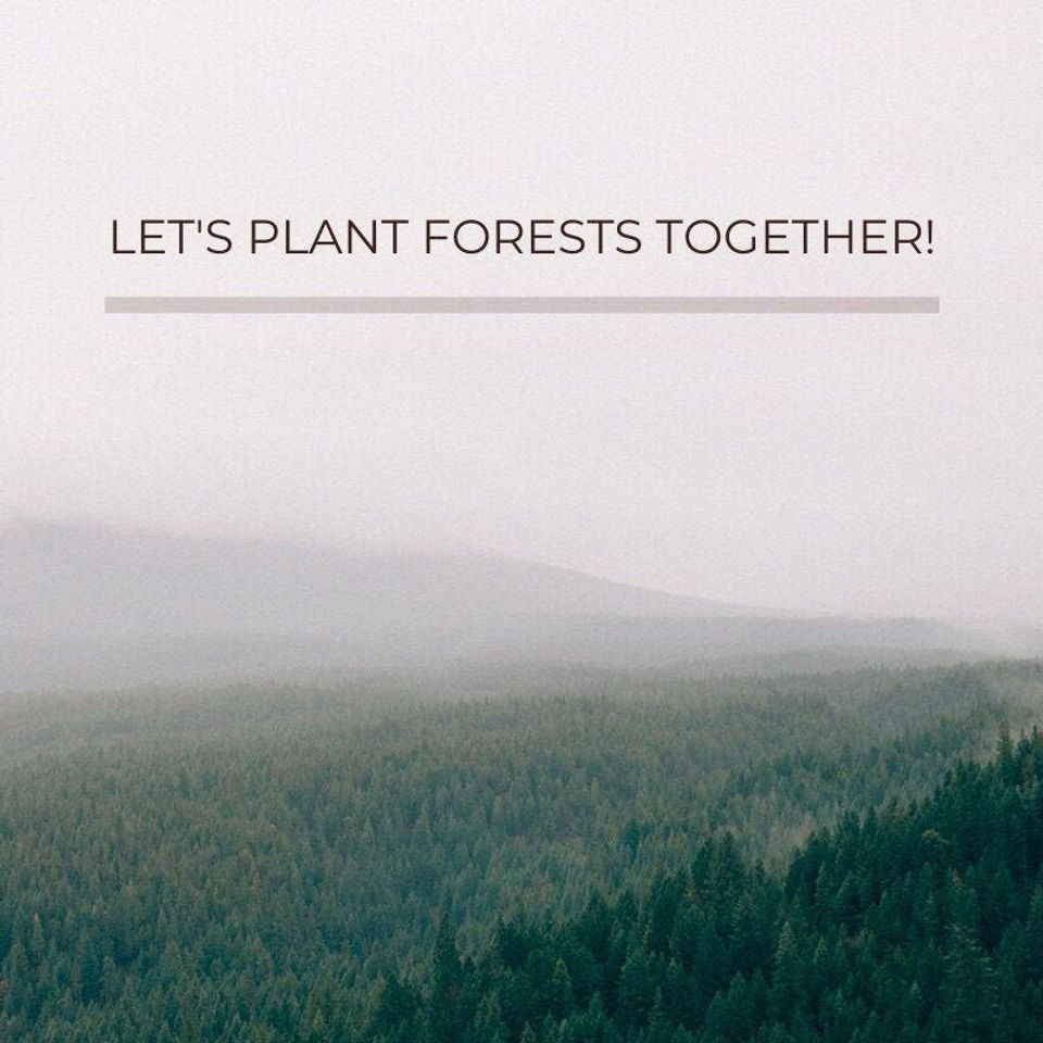 2 Round Multi-Purpose Teak Wood Handmade Spoons Tablespoon Volume