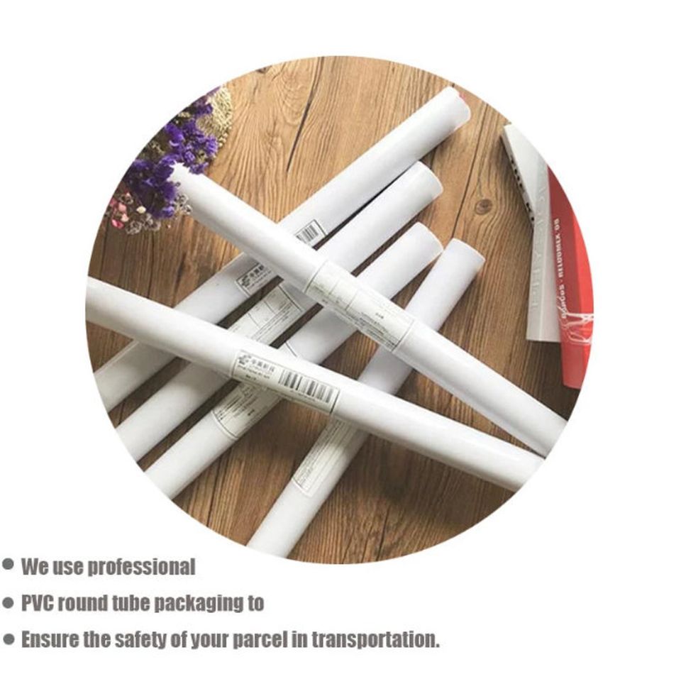 18 years old Mike Tyson and his coach Poster