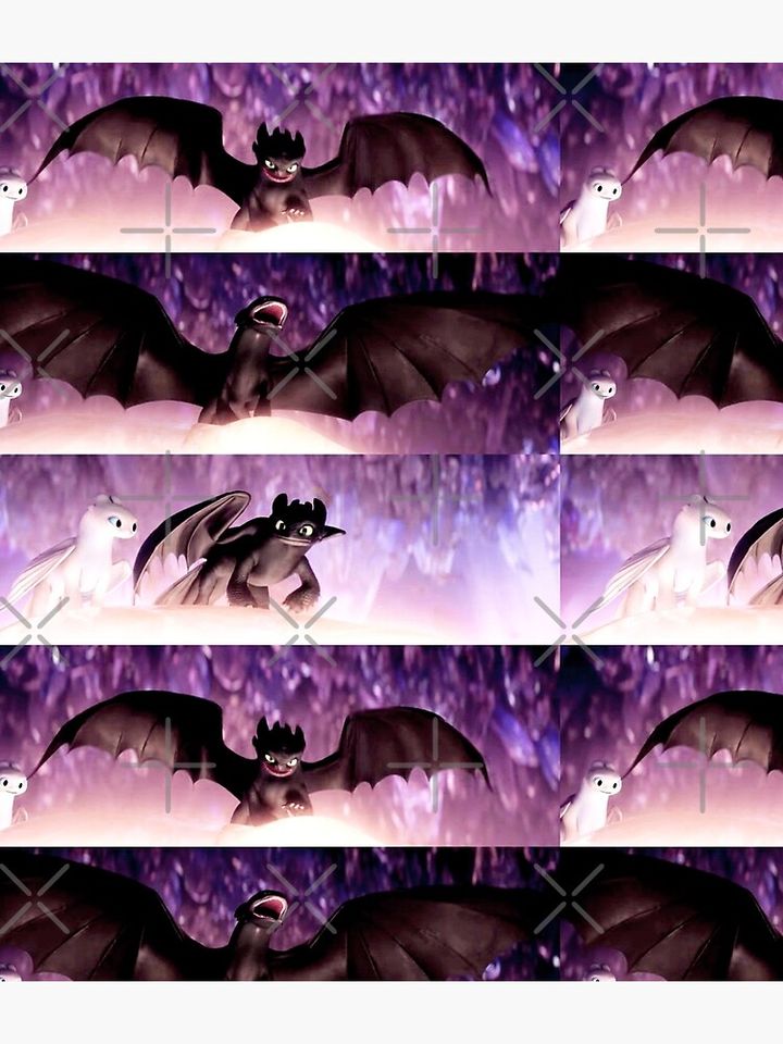 Toothless Night Fury And Light Fury Backpack