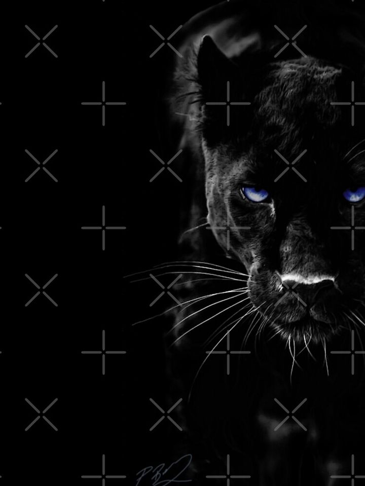 Black Panther Leggings