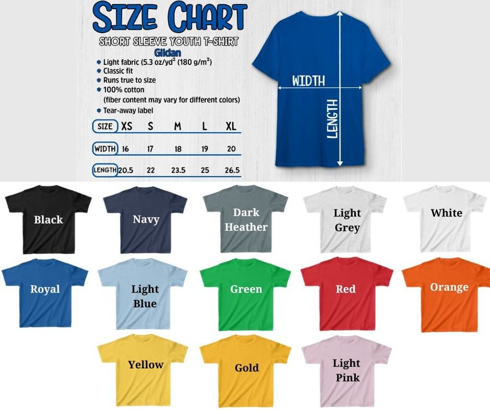 Retro Summer Vibes Shirt/Disney Beach Shirt