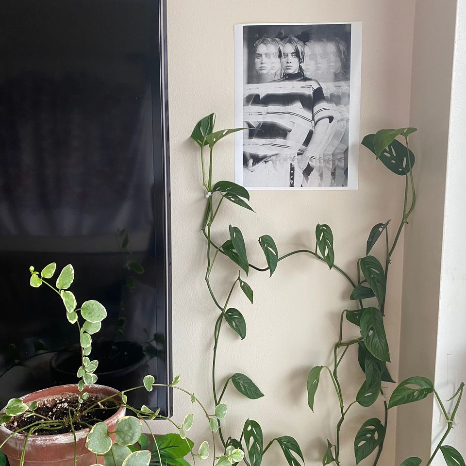 Billie Eilish Poster