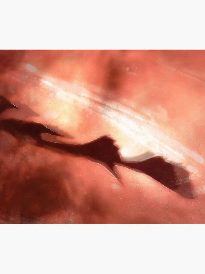 Terracotta Whisper Shower Curtain