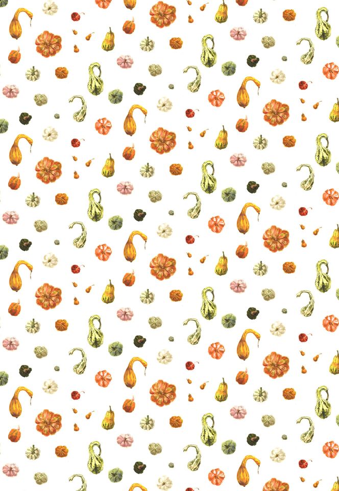 Pumpkins and Gourds Wrapping Paper