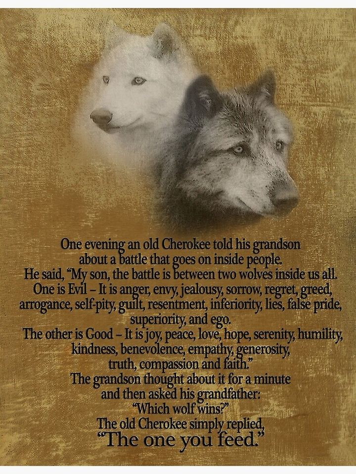 The Two wolves, Cherokee proverb Poster Premium Matte Vertical Poster