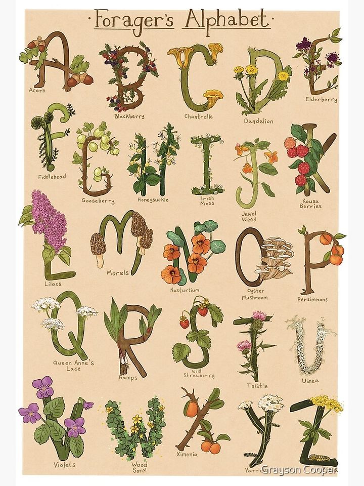 ABCs of Foraging Premium Matte Vertical Poster