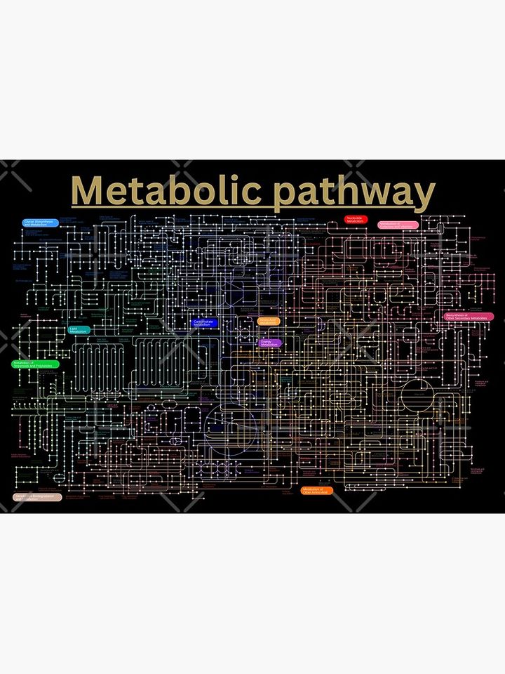 Metabolic pathway of the cell Premium Matte Vertical Poster