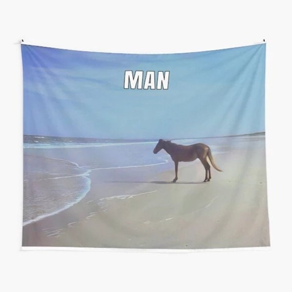 Man Hd Horse On Beach Tapestry