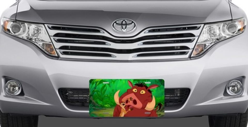 Disney Lion King - Timon and Pumbaa License Plate