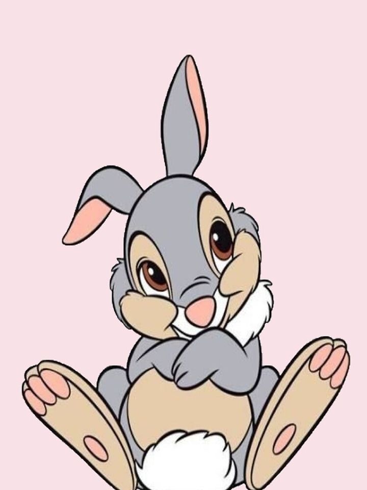 Cute Bunny Disney iPhone Case