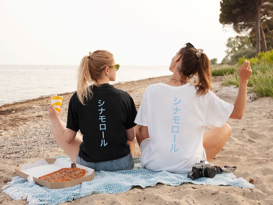 Hello Kitty and Friends Shirt, Cinnamoroll Shirt