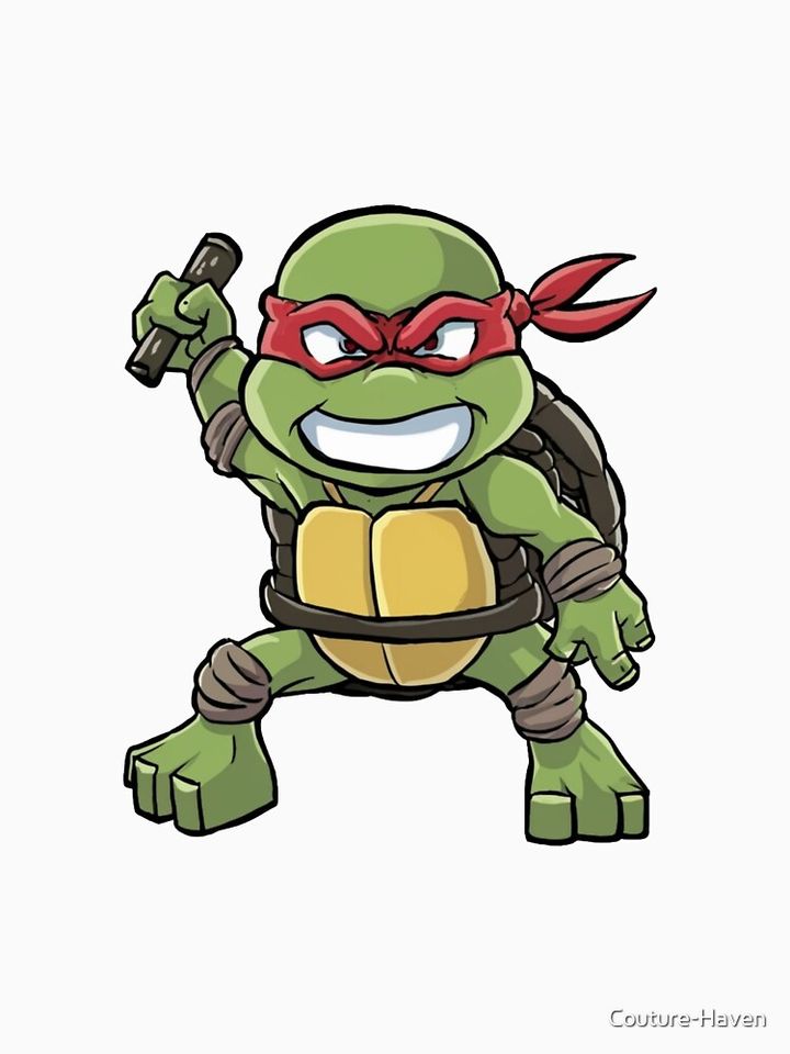 Ninja Turtle Pullover Hoodie