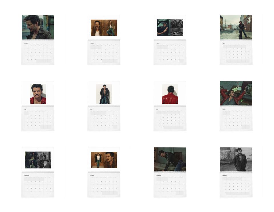Pedro Pascal Vol.5 - 2024 Wall Calendar