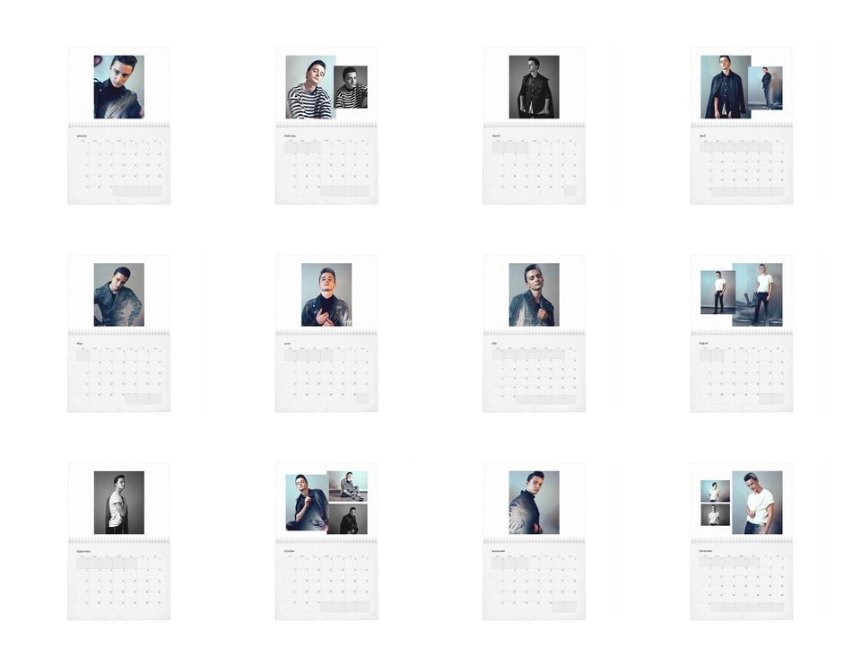 Noah Schnapp Vol.1 - 2024 Wall Calendar