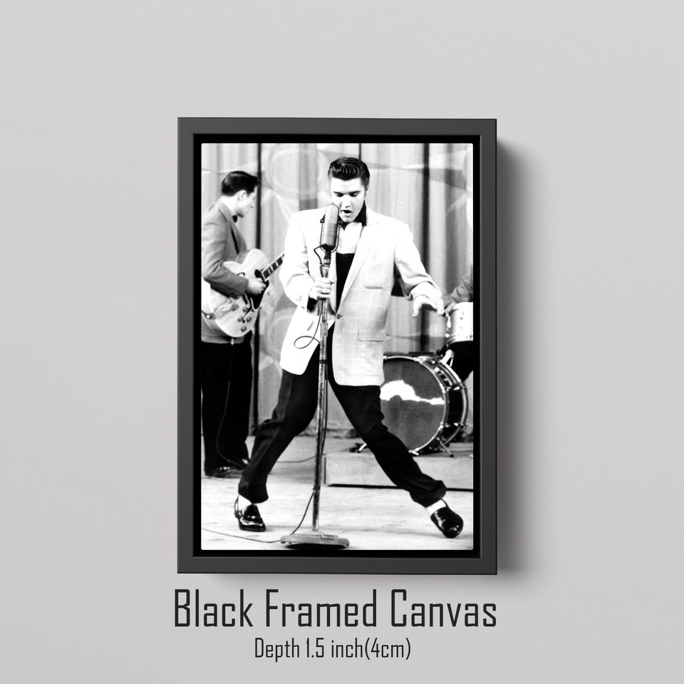 Elvis Presley  Rock and Roll Canvas Wall Art