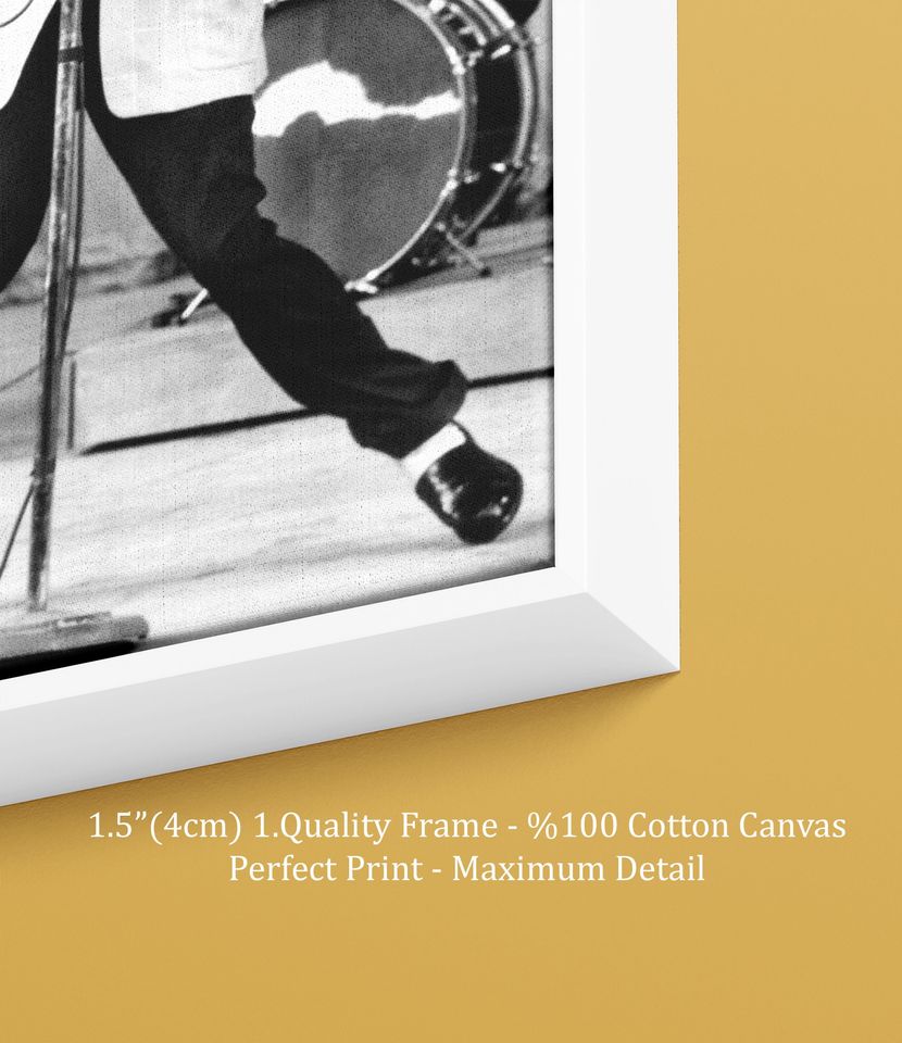 Elvis Presley  Rock and Roll Canvas Wall Art
