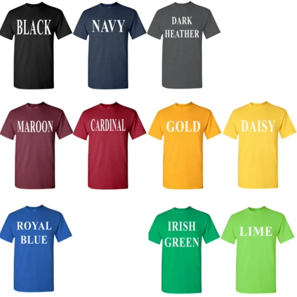 Cicada Brood XIII XIX Summer 2024 Reunion Tour Swarm Cicadas T-Shirt