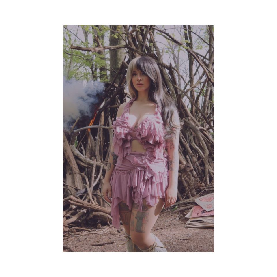 Melanie Martinez, matte poster, k12, crybaby, portals