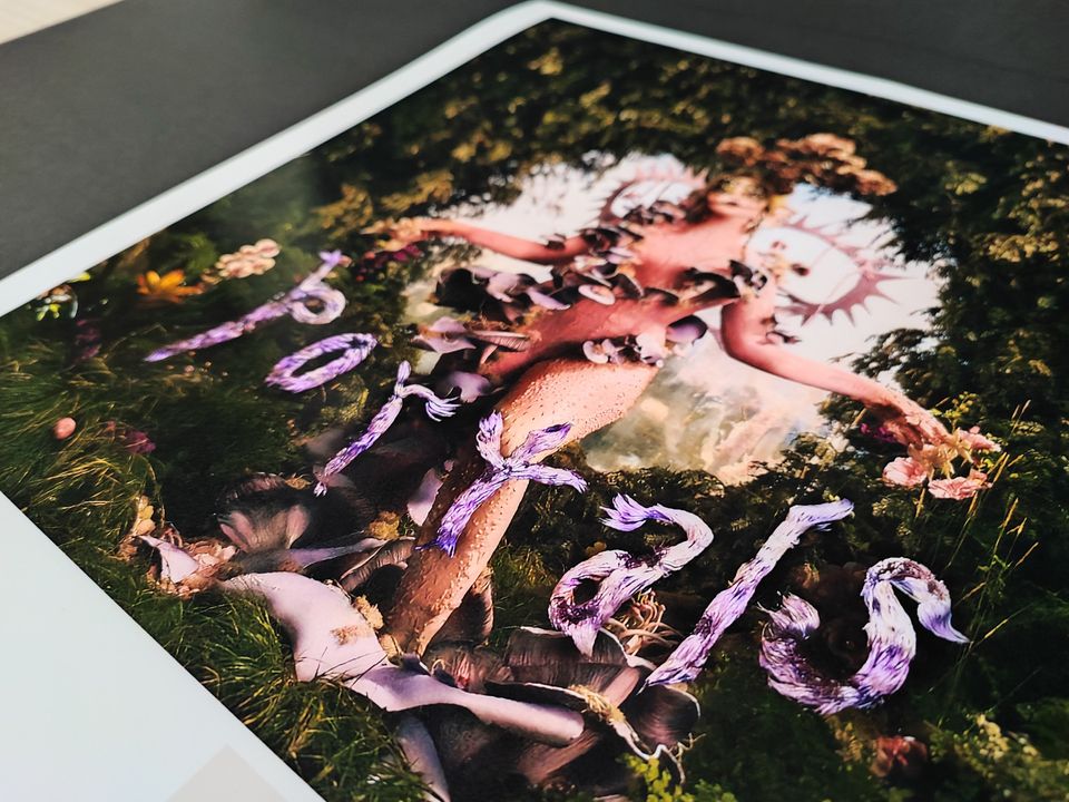 Portals Poster Melanie Martinez