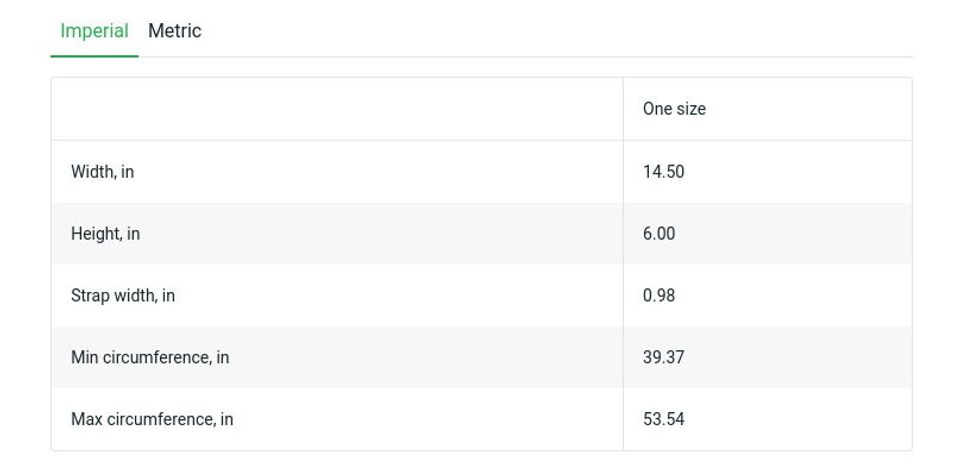 Winnie the Pooh Fanny Pack, Disney Bag