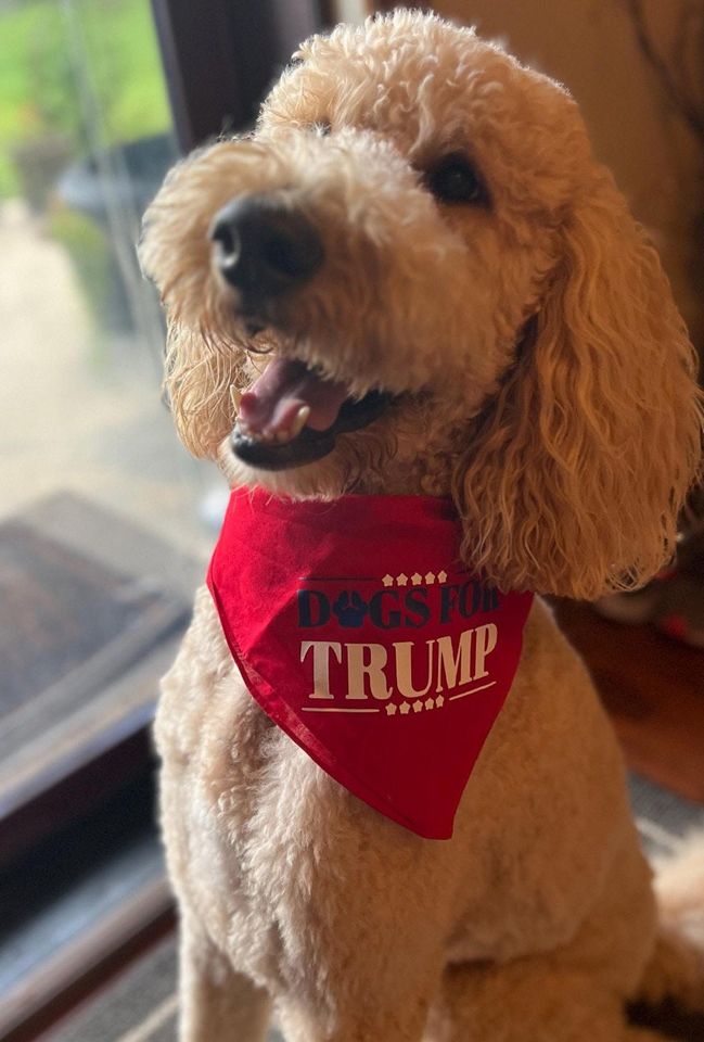 Republican Pet Bandana