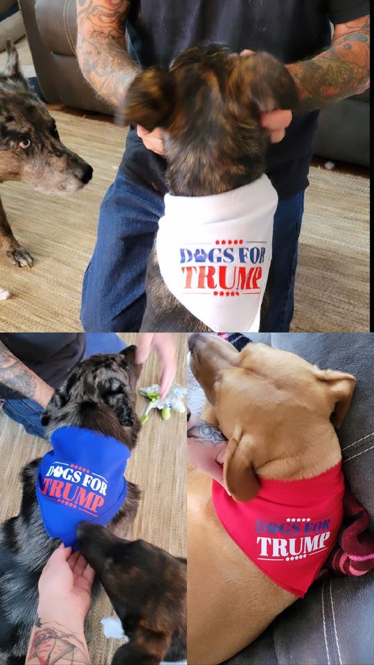 Republican Pet Bandana
