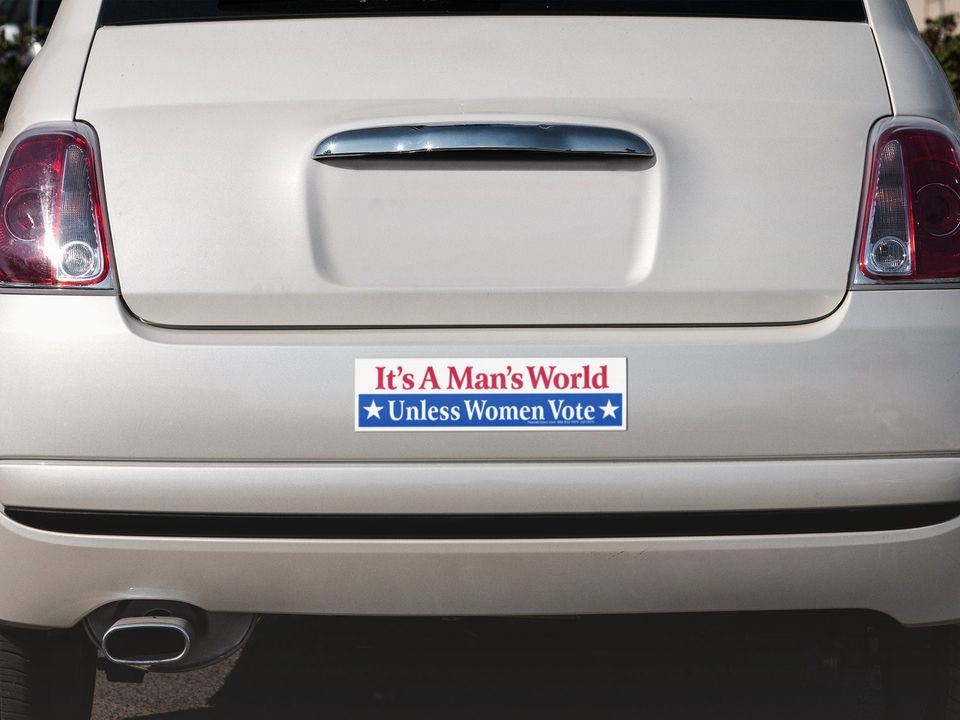 It's A Man's World Unless Women Vote Political Reproductive Freedom Car