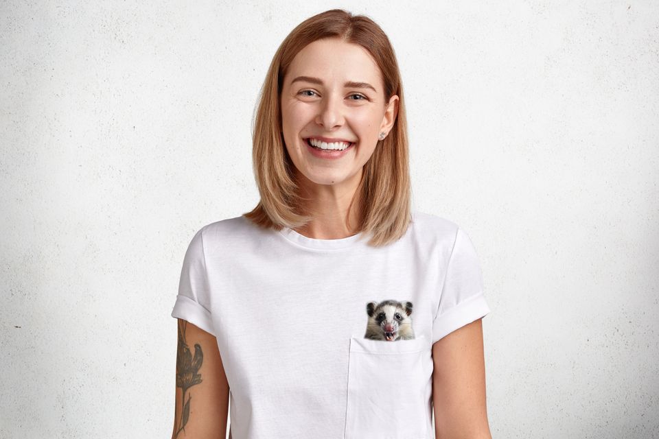 Opossum Shirt, Hidden Middle Finger Pocket Funny, Possum Print T-shirt, Unique Gift Idea Funny T-shirt
