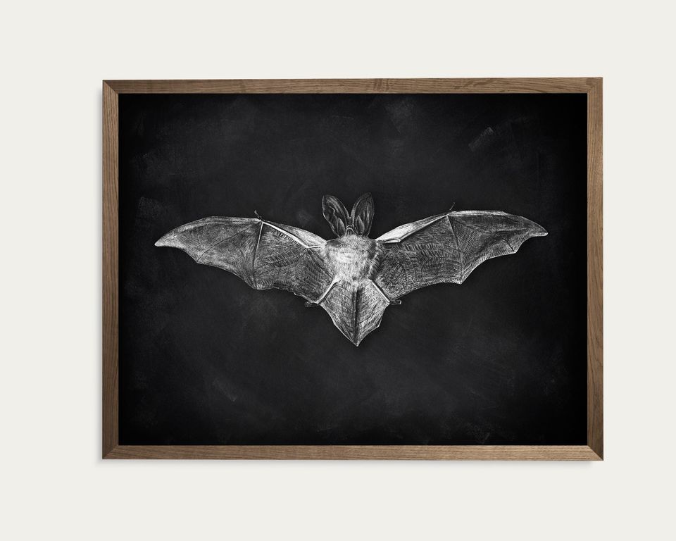 Bat Poster,Halloween Bat Printable Wall Art,Bat Sketch Print
