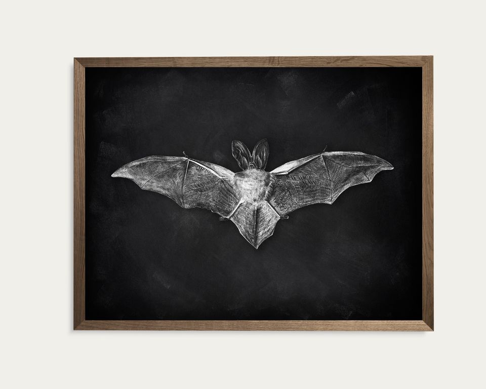Bat Poster,Halloween Bat Printable Wall Art,Bat Sketch Print