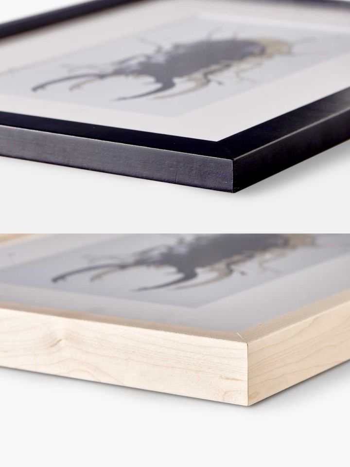 Poinsettia Framed Art Print