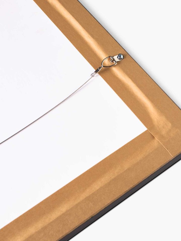 Poinsettia Framed Art Print