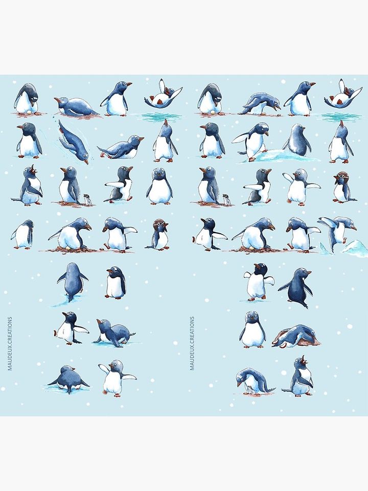 Gentoo penguins colony Socks